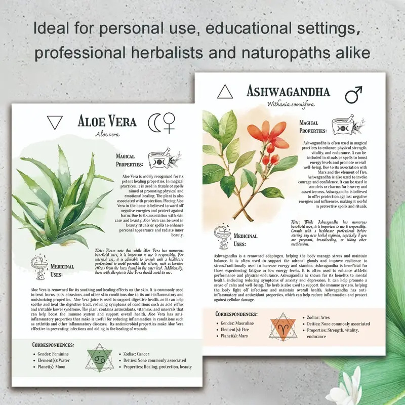 Manual de remédios naturais co - Health & Wellness Studio avaliação e preço