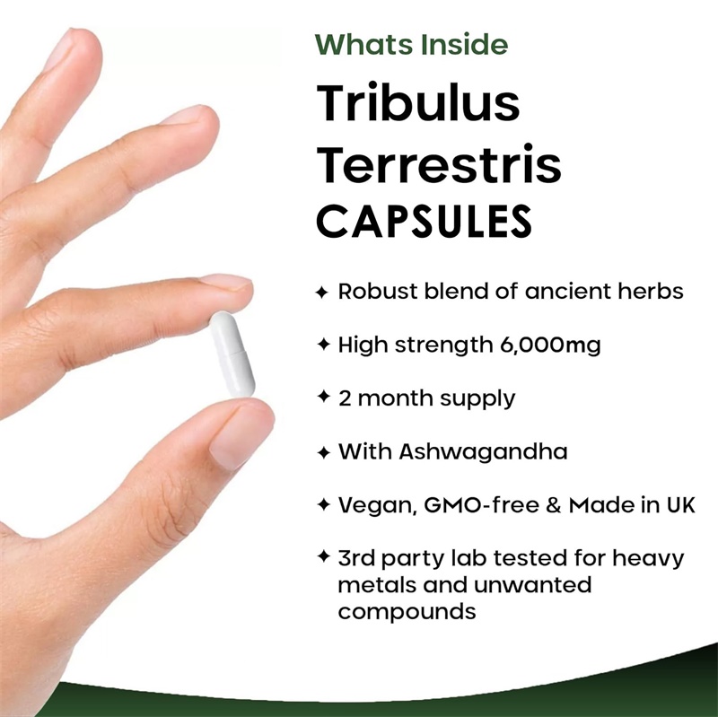 Tribulus Terrestris 6000MG - A - Health And Wellness Promotion avaliação e preço