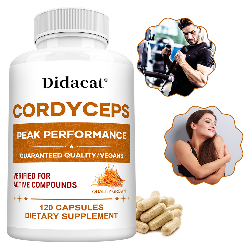 Cápsulas de Cogumelo Cordyceps - Health Wellness Usa avaliação e preço