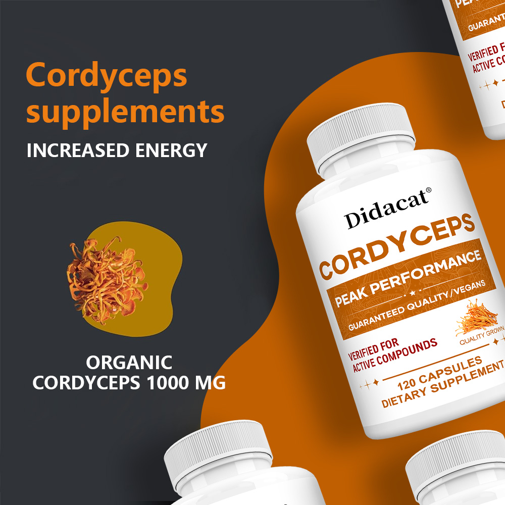 Cápsulas de Cogumelo Cordyceps - Health Wellness Usa avaliação e preço
